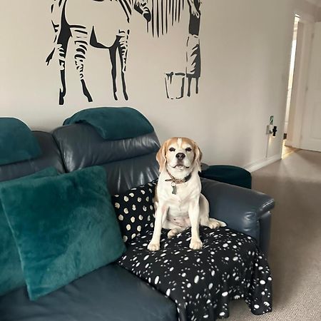 Hereford - Finch House - Modern 4 Bedroom House Located In South Hereford, Dog Friendly With Nearby Countryside, Pool Table, Sleeps Up To 10 Guests - Hosted By Rentmyhouse Ngoại thất bức ảnh