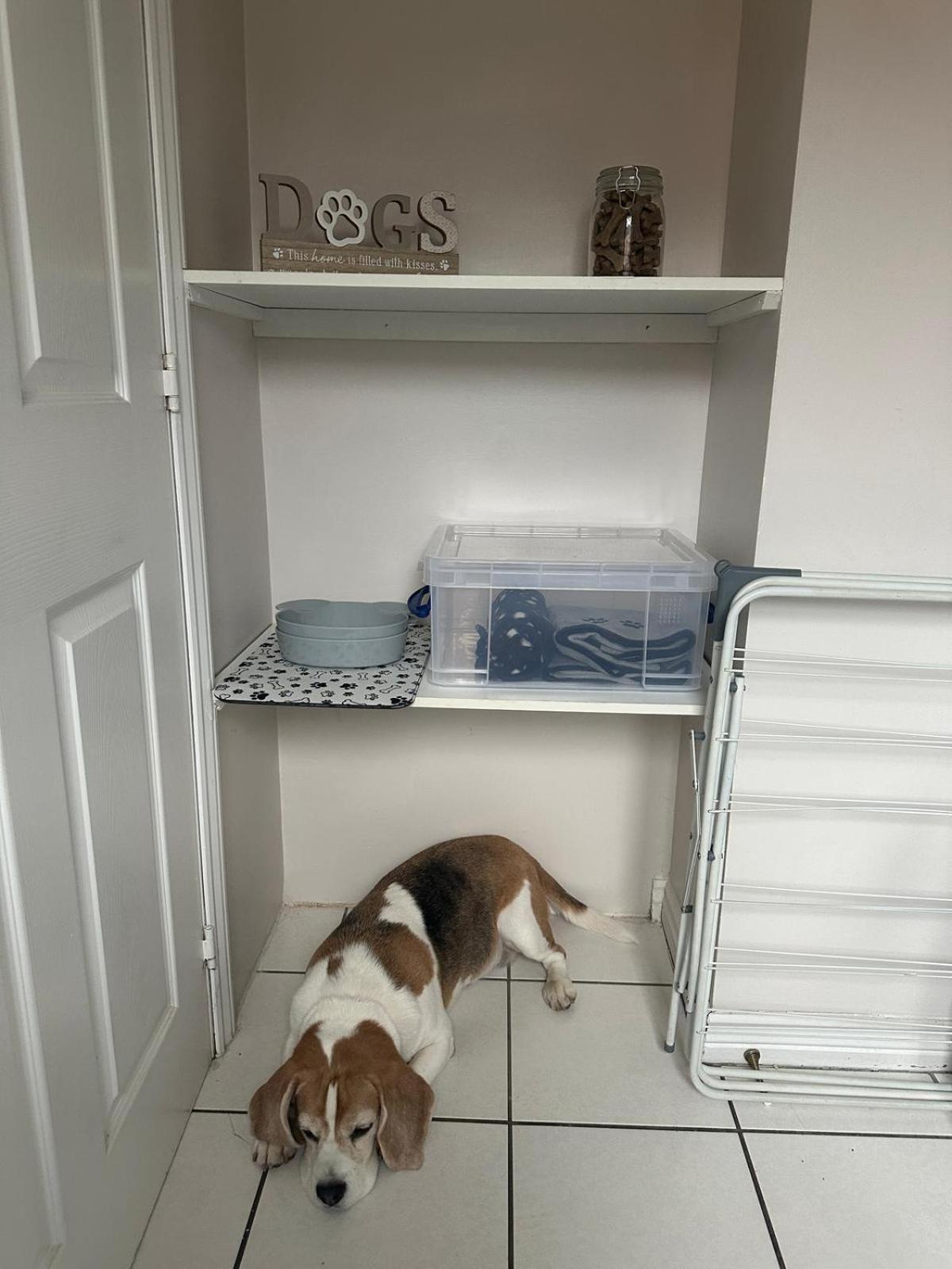 Hereford - Finch House - Modern 4 Bedroom House Located In South Hereford, Dog Friendly With Nearby Countryside, Pool Table, Sleeps Up To 10 Guests - Hosted By Rentmyhouse Ngoại thất bức ảnh
